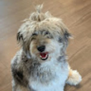 Meet your Posher, Mackenzie